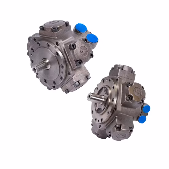 China Professional Supply Five Star Radial Hydraulic Piston Motor