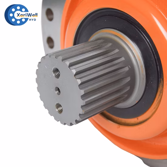 Bmm/Omm Bmr/OMR BMP/Omp Bmh/Omh BMS/Oms Bmt/Omt Bmv/Omv Radial Piston Drive Wheel Oil Orbital Mini Hydraulic Motor with Eaton Sauer Danfoss Poclain Intermot
