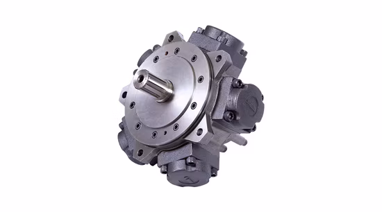 China Professional Supply Five Star Radial Hydraulic Piston Motor