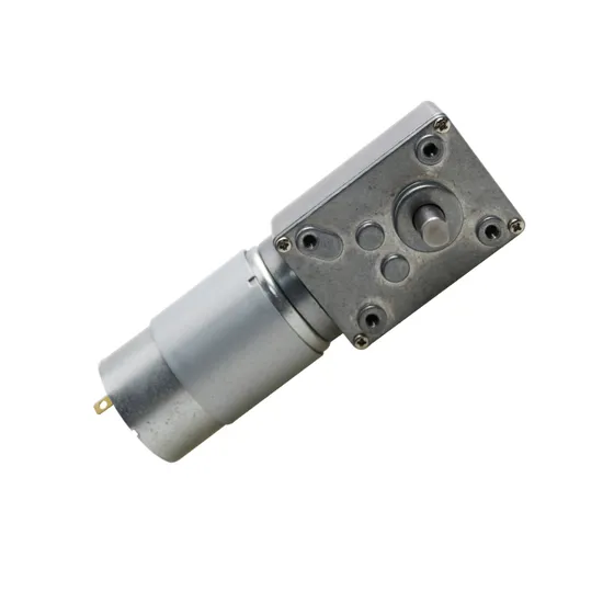 DC Geared Motor Gearbox RS555 Brushed DC Electrical Gearmotor 12V 24V Worm Gear Motor with High Torque Low Speed Long Worklife 