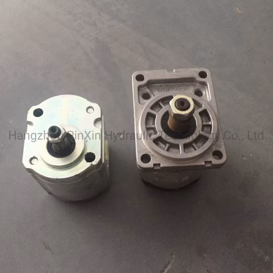 Rexroth Hydraulic Pump/Piston Pump/Pressure Pump/Oil Pump/Vane Pump/ Gear Pump/Excavator Pump for A2fo/A2FM/A4V/A6vm/A7vo/A10vso/A11V/PV7/Pg/A4fo