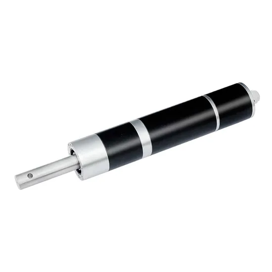80n. M High Torque Low Speed Swimming Pool Cover DC Planetary Gear Motor 